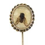 A late Victorian 9ct gold carved hardstone fly stickpin with appliqué detail.Length of stickpin