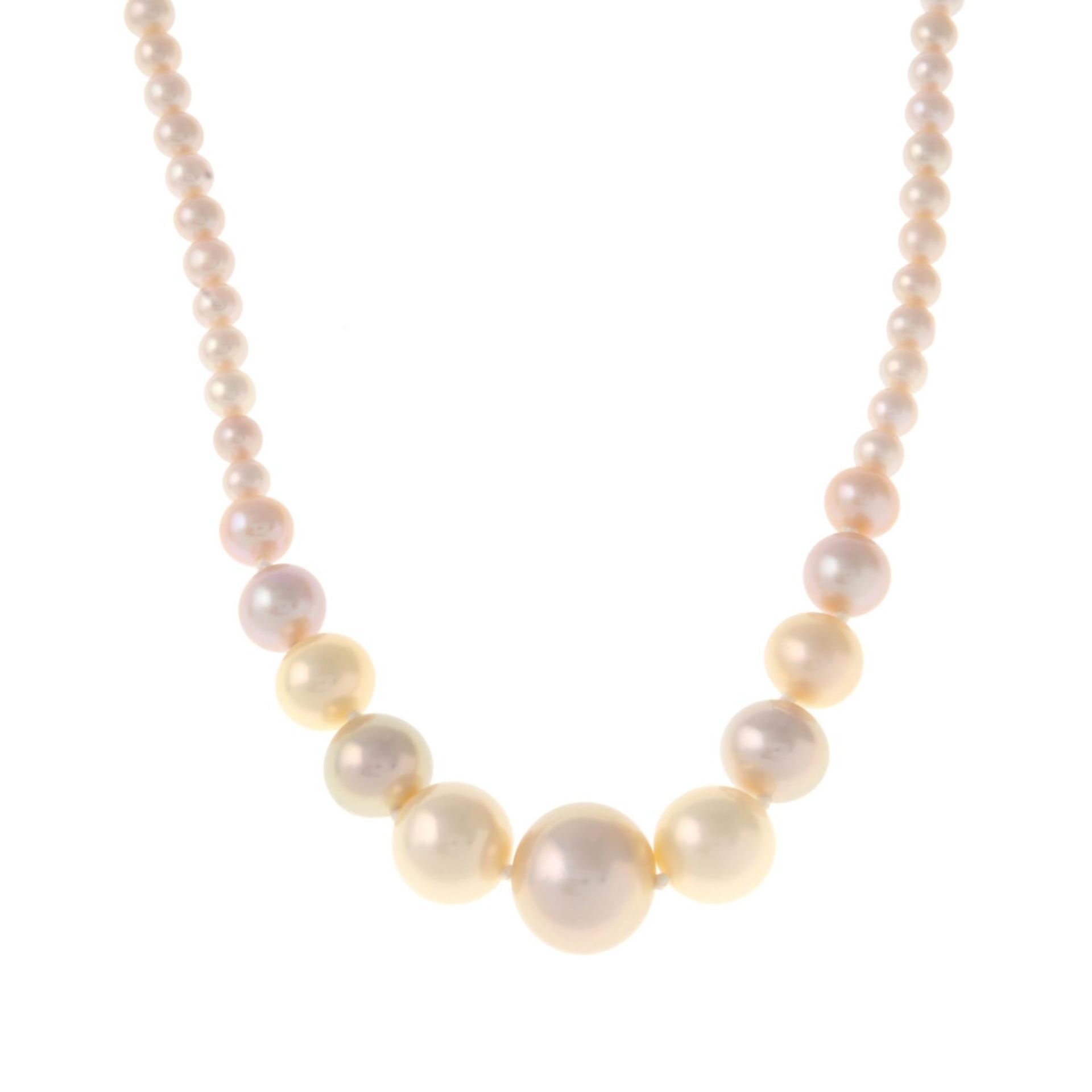A graduated pink cultured freshwater pearl necklace.Clasp stamped 375.Length 74.5cms.