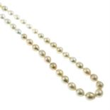 A freshwater cultured pearl necklace.