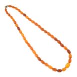 An amber bead single strand necklace.
