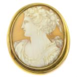 An early 20th century 9ct gold shell cameo brooch, with safety chain.