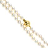 An 18ct gold cultured pearl necklace.