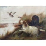Robert Cleminson (1864-1903), an oil on canvas, gun dogs 'putting up' ducks.