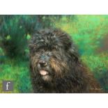 JOEL KIRK (B. 1948) - A shaggy dog, pastel drawing, signed, framed, 28cm x 39cm, frame size 56cm x