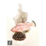 A Royal Worcester Ronald van Ruyckevelt model of a tropical fish titled Red Hind (epinephelus