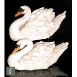 A pair of late 20th Century glazed models of swans, unmarked, length 44cm. (2)