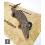 An early 20th Century taxidermy study of a Nile crocodile, mouth slightly agape, missing eyes,