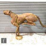 A life size iron paneled running cheetah, made in Africa and constructed from riveted car panels,