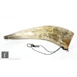A large single buffalo horn, length 58cm and width across the bottom 14cm.