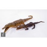 Two early 20th Century taxidermy studies of juvenile crocodiles, each with an open mouth, lengths