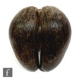 A coco de mer or sea coconut, height 27cm.Subject to CITES Annex C listing, this lot will require