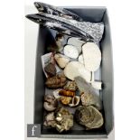 A collection of ammonites, fossils and geological specimens including a coprolite, trilobite etc.