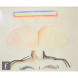 TULLY CROOK (BORN 1938) - A for Arse, pastel and pencil drawing, signed and inscribed, framed, 100cm