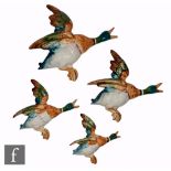 A graduated set of Beswick Pottery wall mounted flying Mallard Ducks, printed marks and impressed