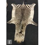 A plains Zebra hide rug, approximate length to tip of tail 300cm, S/D.