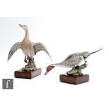 Two boxed Royal Worcester limited edition models of an American Pintail Female (Dafila Acuta) and