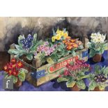 VALERIE CLAYPOLE (CONTEMPORARY) - 'Primulas in a Box', watercolour, signed and dated 1992, framed,