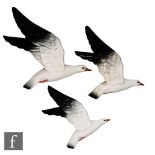 Beswick - A set of three graduated wall plaques modelled as seagulls in flight, models 922-1, 922-