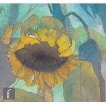 Waveney Fredrick, RBS, PS (1911-1999) - Sunflower, pastel drawing, signed, framed, 38cm x 40cm,