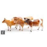 Three Beswick cattle comprising Guernsey Bull Ch. Sabrina's Sir Richmond 14th, model 1451,