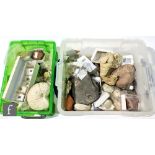 An collection of fossils to include ammonites, plant specimens and corals including some large