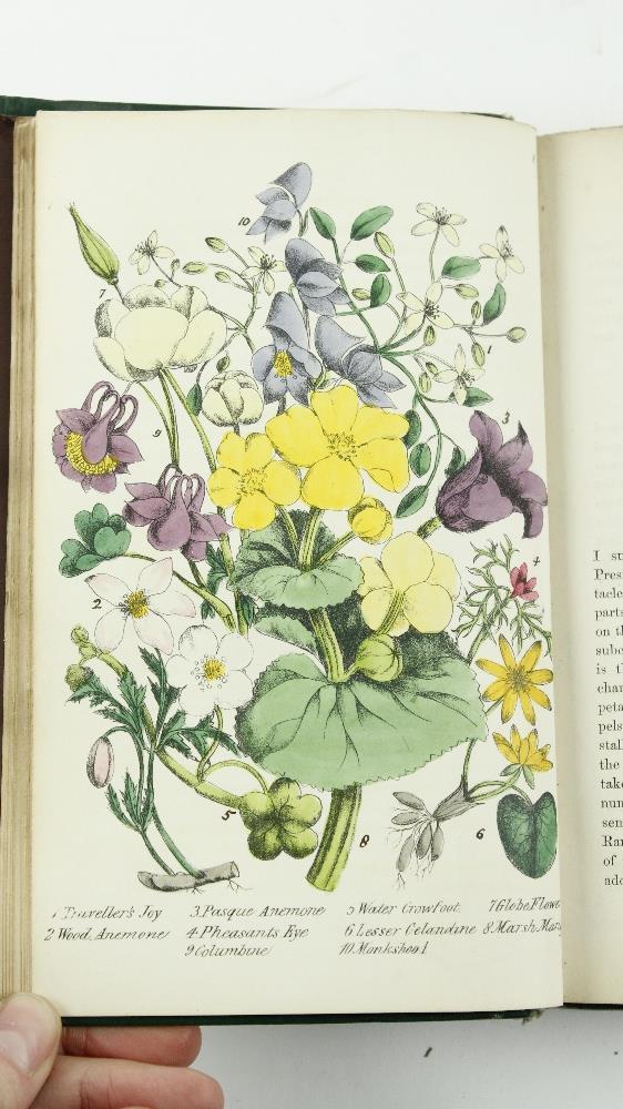 Hand Coloured Plates: Plues (Margaret) Rambles in Search of Wild Flowers, 8vo L. 1864. Second - Image 5 of 7