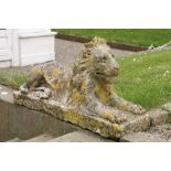 A good pair of early composition Stone Figures, each modelled as a recumbent lion on rectangular