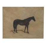 N.I. Carden, 1902 "Portrait of Dark Horse," O.O.C., approx. 50cms x 65cms (20" x 25 1/2") signed and