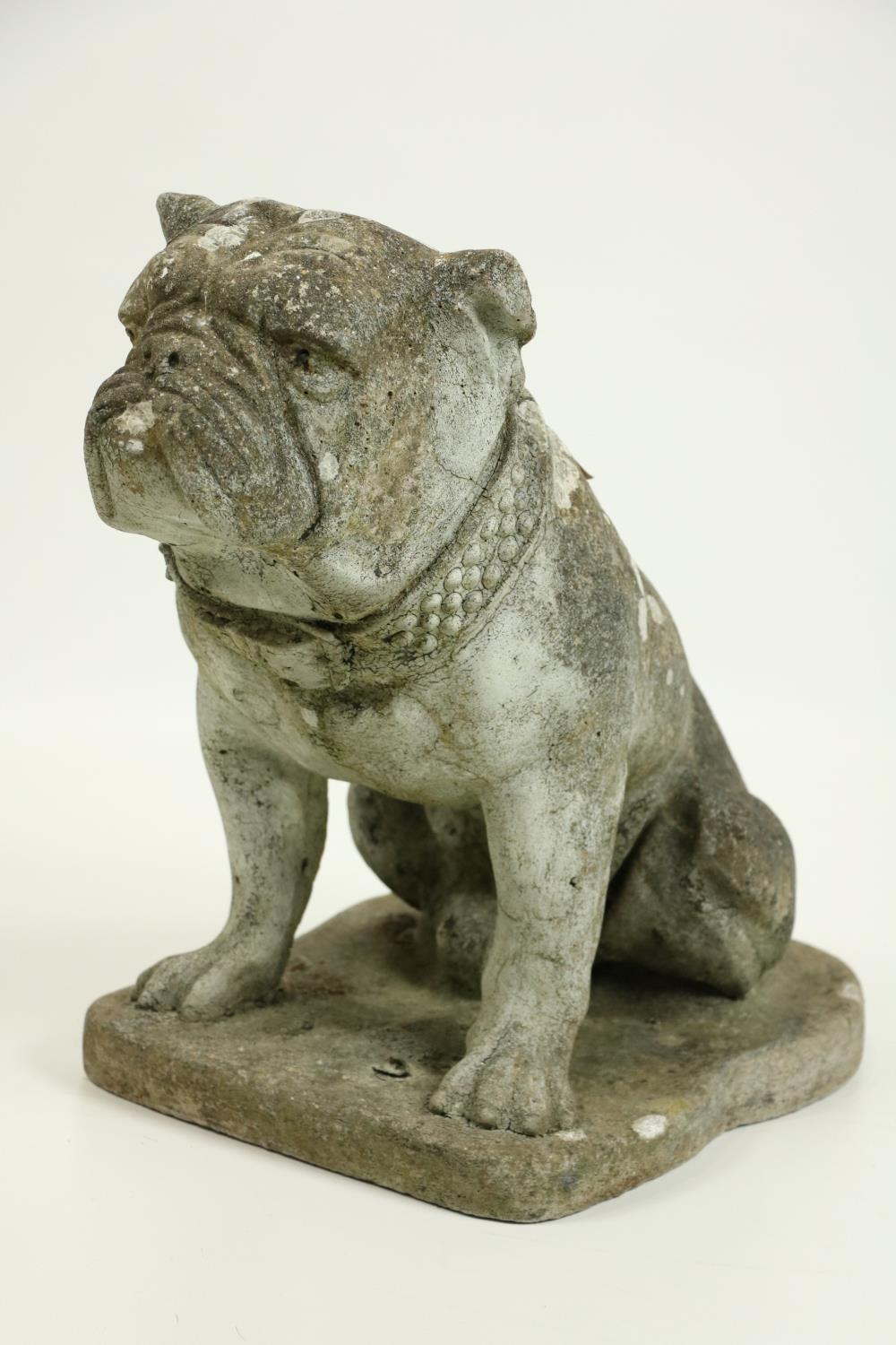 A composition stone Model, of a Bull Dog, seated and nicely weathered, 23"l x 18"h (58cms x