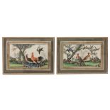 An attractive and colourful pair of 19th Century Chinese Paintings, on rice paper "Exotic Birds,"