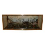 Taxidermy:  A large cased arrangement, "A Male and Female Duck and a Pheasant set in naturalistic