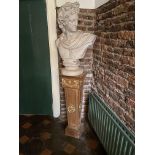 A composition Bust of Apollo, head and shoulders, 31'' (78cms), a mahogany and parcel gilt Plinth,