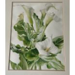 Patricia Jorgensen (b.1936) Watercolour, Still Life, ''Arum Lilies,'' signed, inscribed and dated '