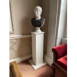 A two colour carved marble Bust, ''Caesar Augustus'' 25'' x 15'' (63cms x 38cms), on square