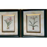 A pair of colourful Flower Prints, in attractive frames, 11'' x 8'' (28cms x 20cms); together with