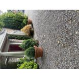 A very long pair of relief moulded terracotta Planters, of circular tapering form with fruit