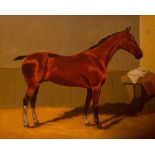 C.H. Sims English (1873 - 1928) ''Chestnut Horse in a Stable,'' O.O.C., signed lower right, 19 1/2''