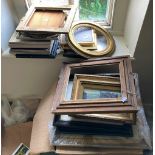 A collection of oval and rectangular gilt Frames, some varied Botanical Prints, sold as a lot, w.a.