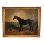 Benjamin Cam Norton, (1835 - 1900)  An attractive pair of Equestrian Portraits, depicting a bay