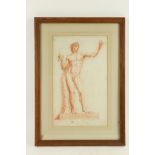 18th Century Continental School "Male Nude standing by a Tree," sepia drawing, approx. 14" x 8 1/2",