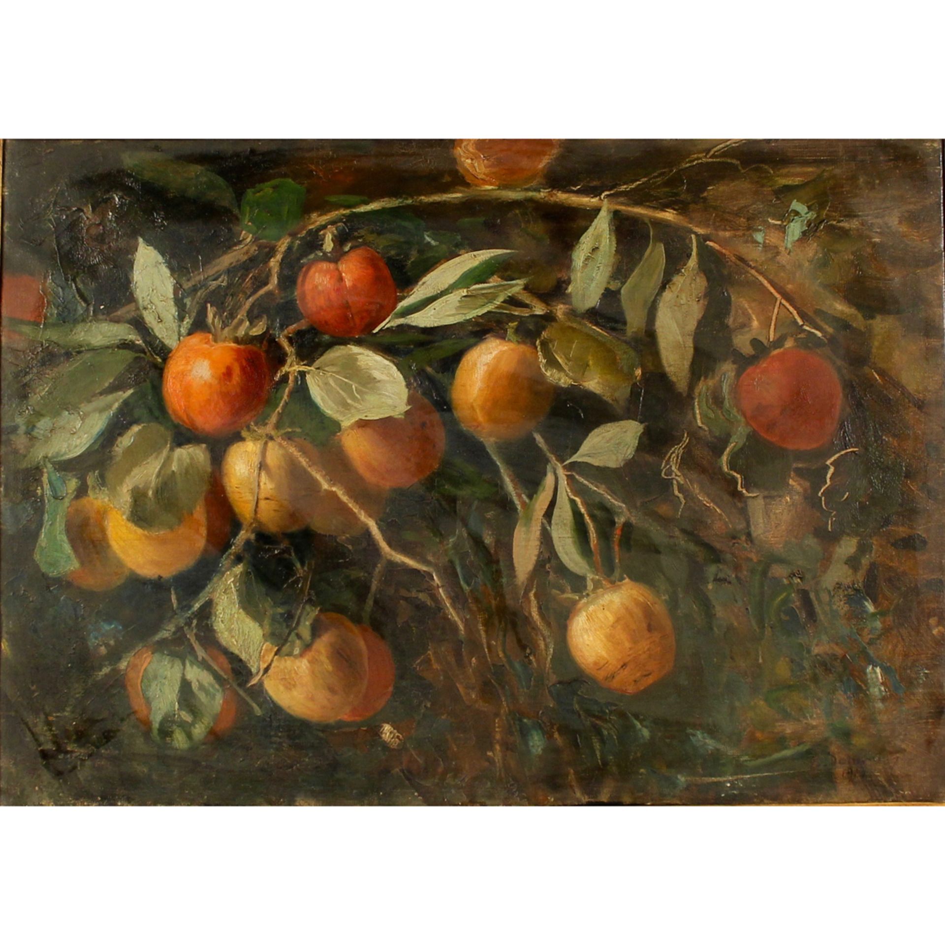 ETTORE DE MARIA BERGLER (1850/1938) "Rami con pesche" - "Branches with peaches"