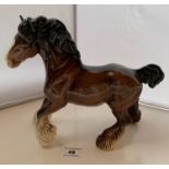 Brown Beswick shire horse. No damage