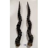 Pair of horns with metal ends.14” (35cm) long