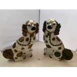 Large pair of Staffordshire dogs 13” (33cm) high. Discoloured with age but no chips or cracks