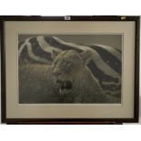 Print of lion “Ngorongoro Morning” by Lee Kromschroeder. Signed limited edition 193/400. 25” x