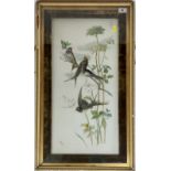 Painted plaque of 3 birds by E. Hirst 1895. 11” x 23”, frame 17” x 29”