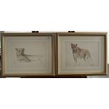 Pair of prints of leopards by James Hodges. Signed in pencil by artist. 11” x 15”, frame 19.5” x