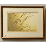 Watercolour “Field Mice” by Robert Butler 1991. 16” x 10”, frame 23” x 17”. Good condition