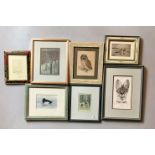 7 framed assorted prints, “Woodland” by Beverley Whytell, “Serval” by Gary Hodges, Monogrammed