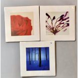 3 unframed Getty Images photographs, 16” x 16”